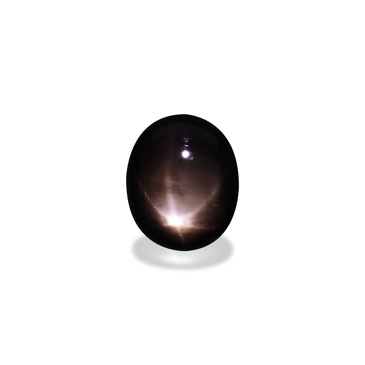 Black Black Star Sapphire 17.20ct