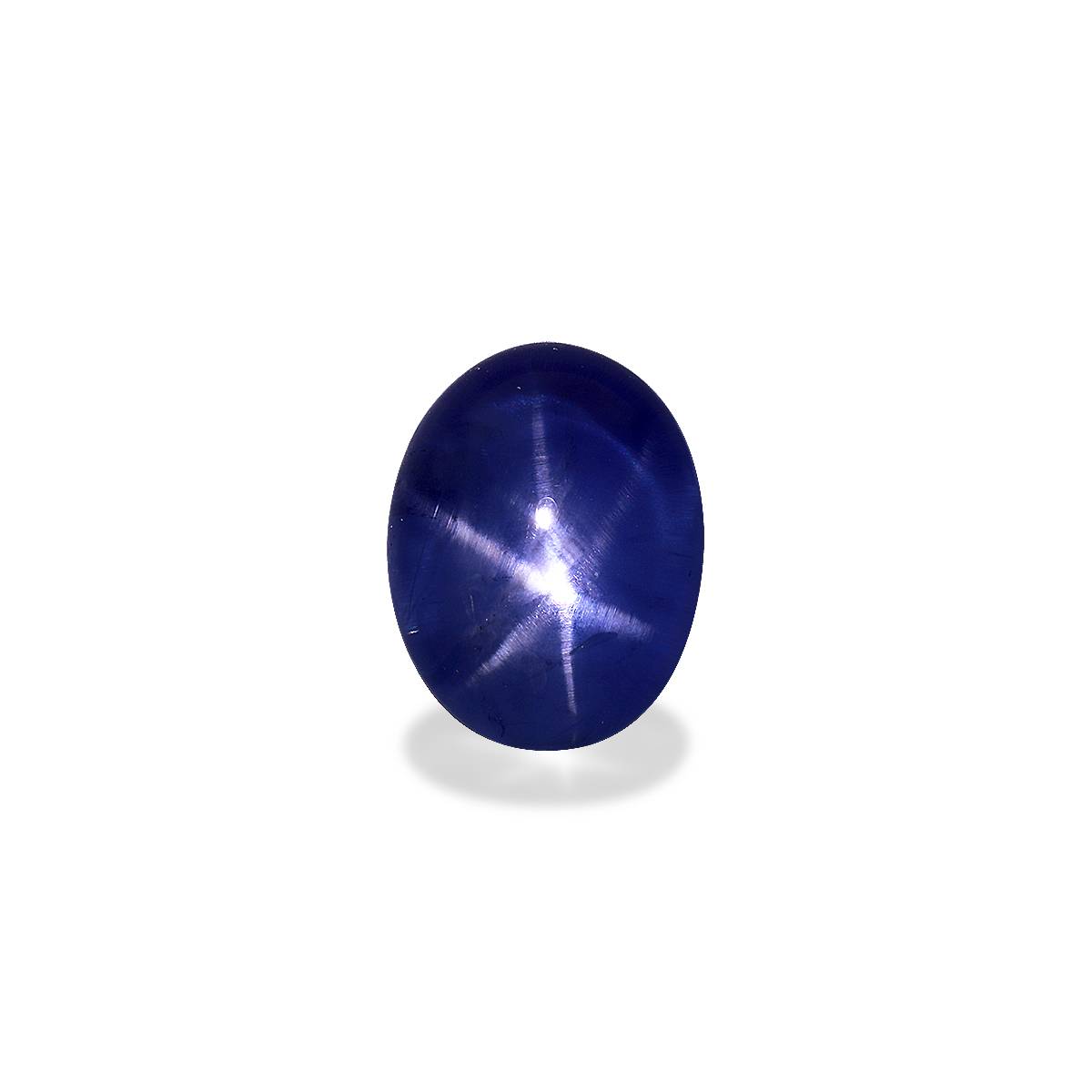 Blue Blue Star Sapphire 17.81ct