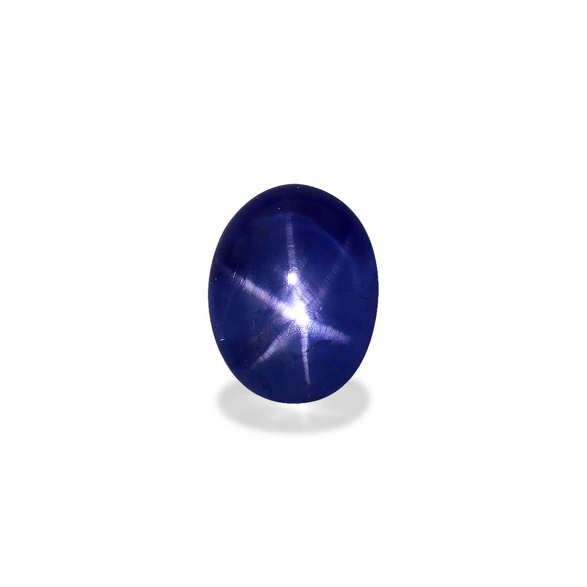 Blue Blue Star Sapphire 17.81ct
