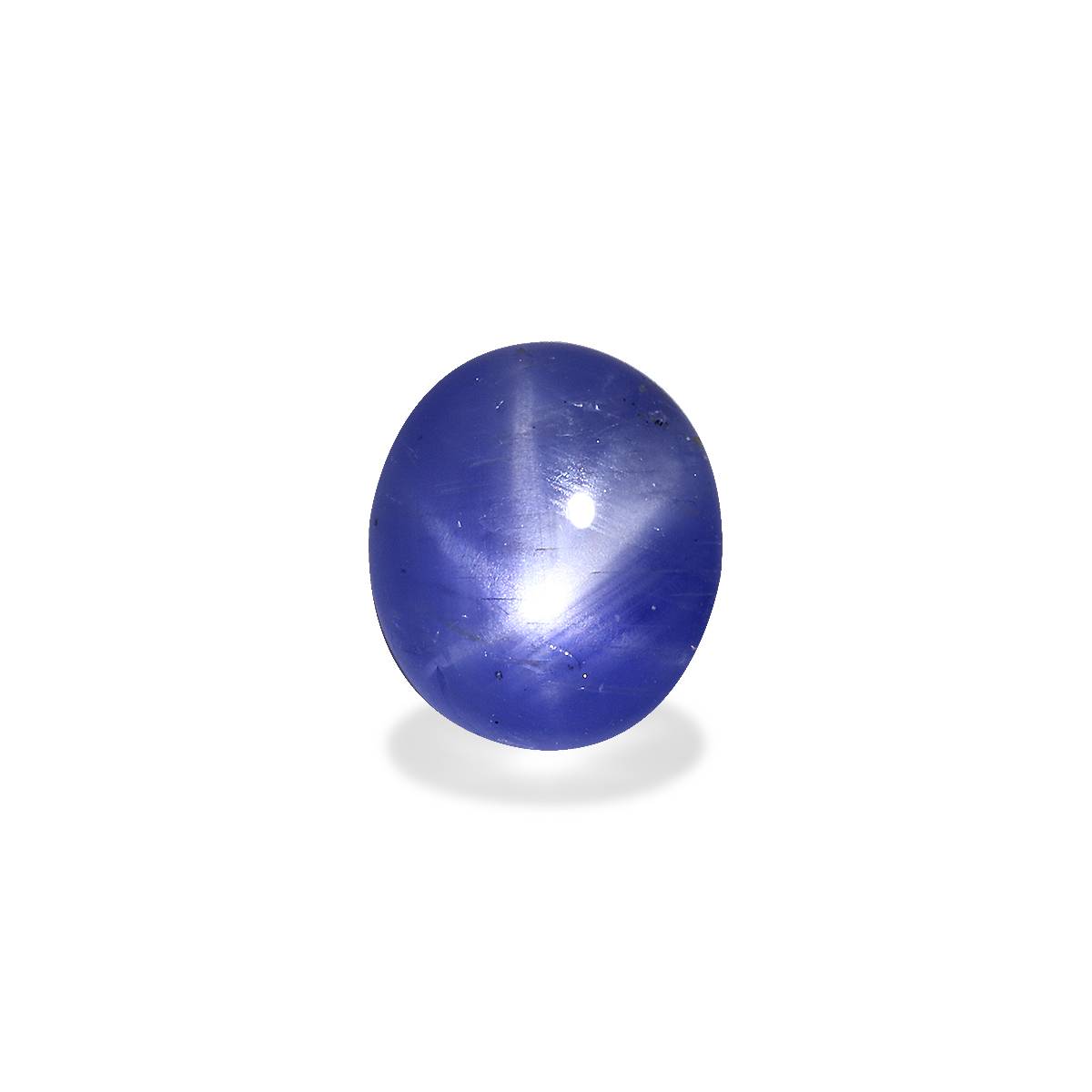 Blue Blue Star Sapphire 3.92ct - 10x8mm