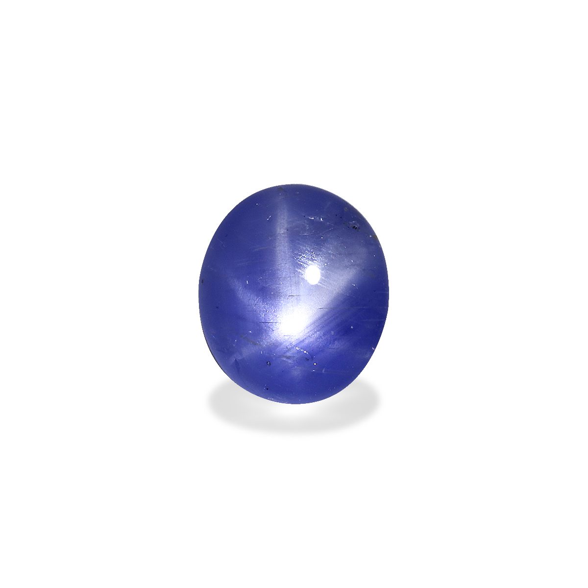 Blue Blue Star Sapphire 3.92ct - 10x8mm