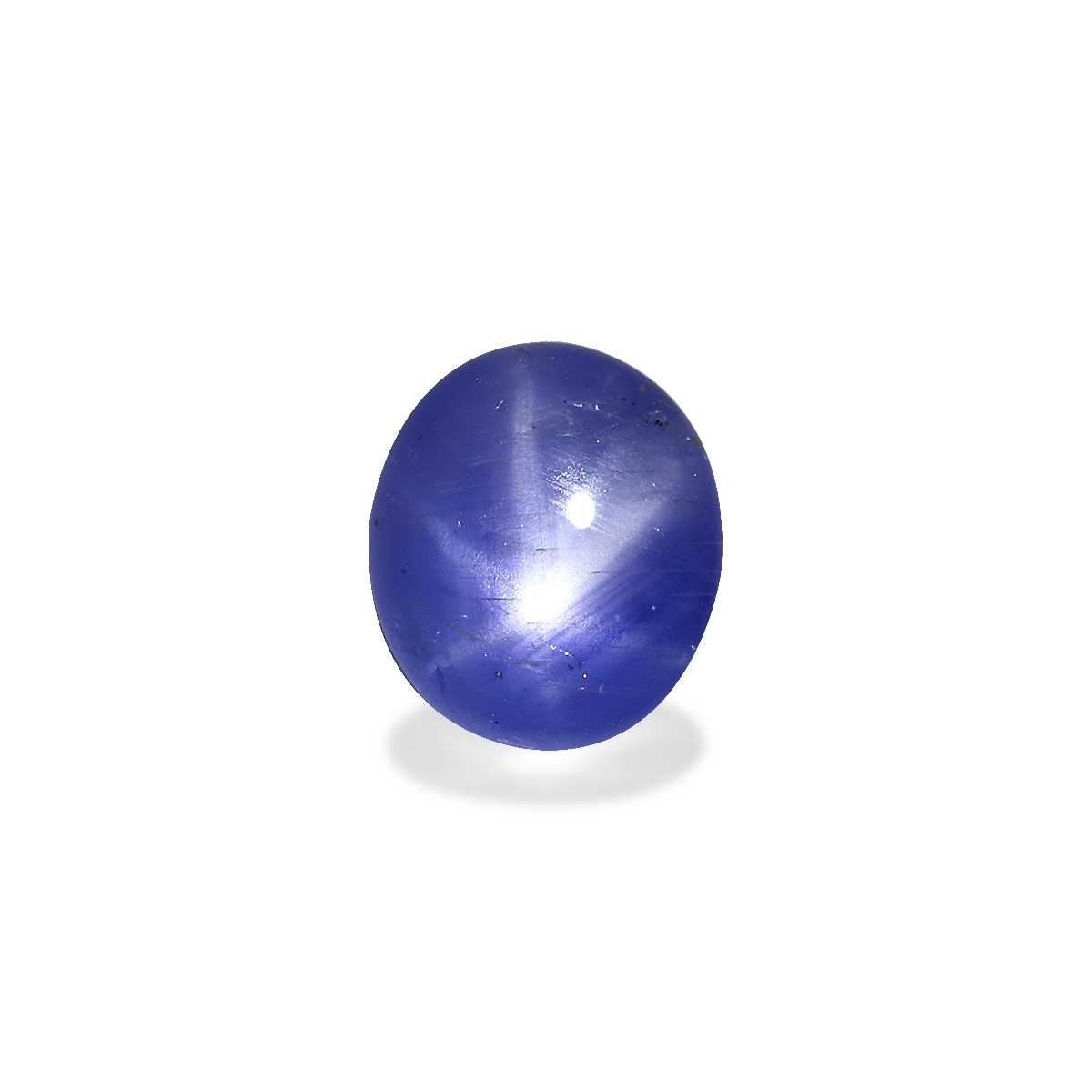 Blue Blue Star Sapphire 3.92ct - 10x8mm