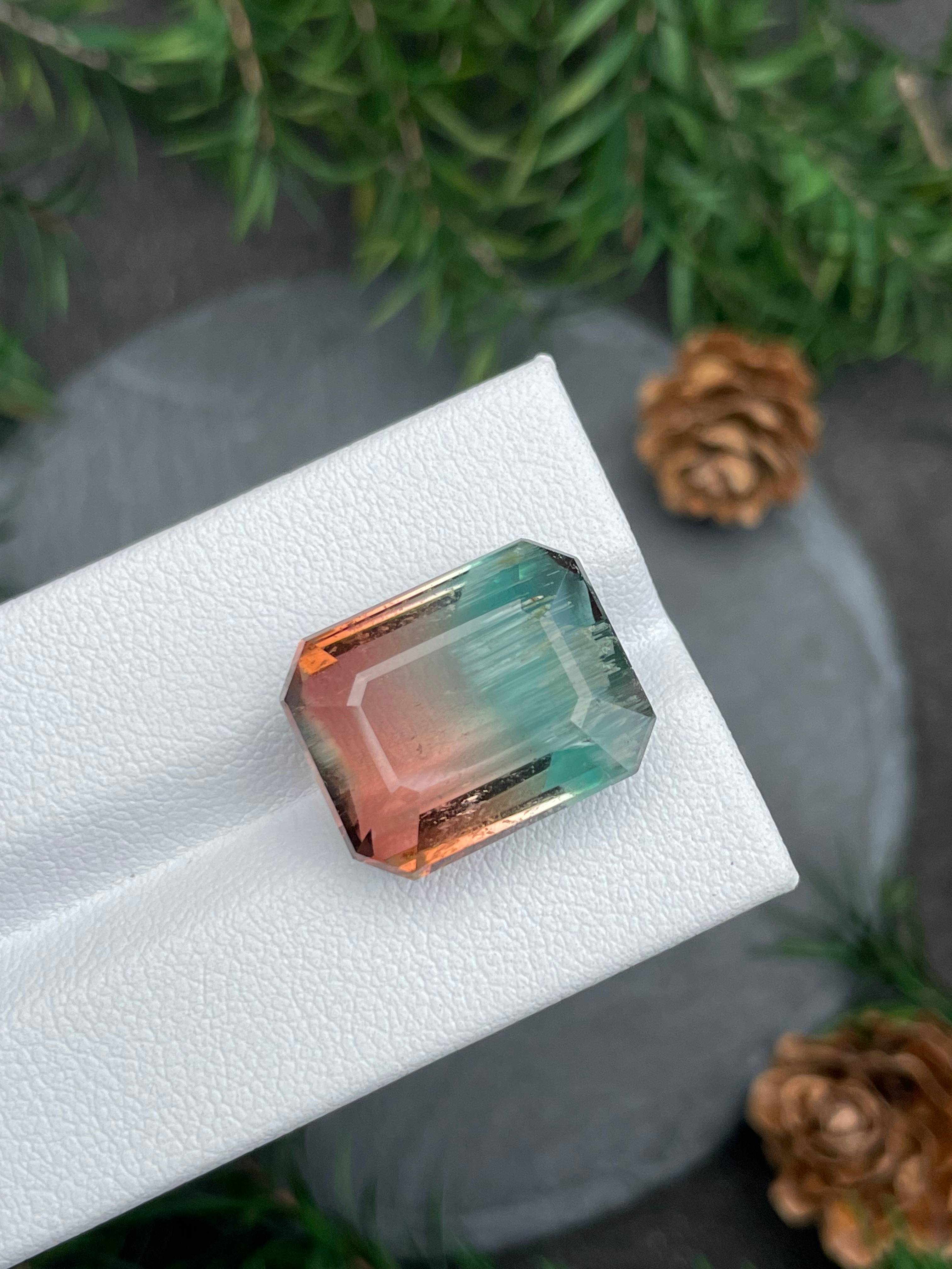 bi colour bi colour tourmaline, 18.82ct rectangular cut — view 7