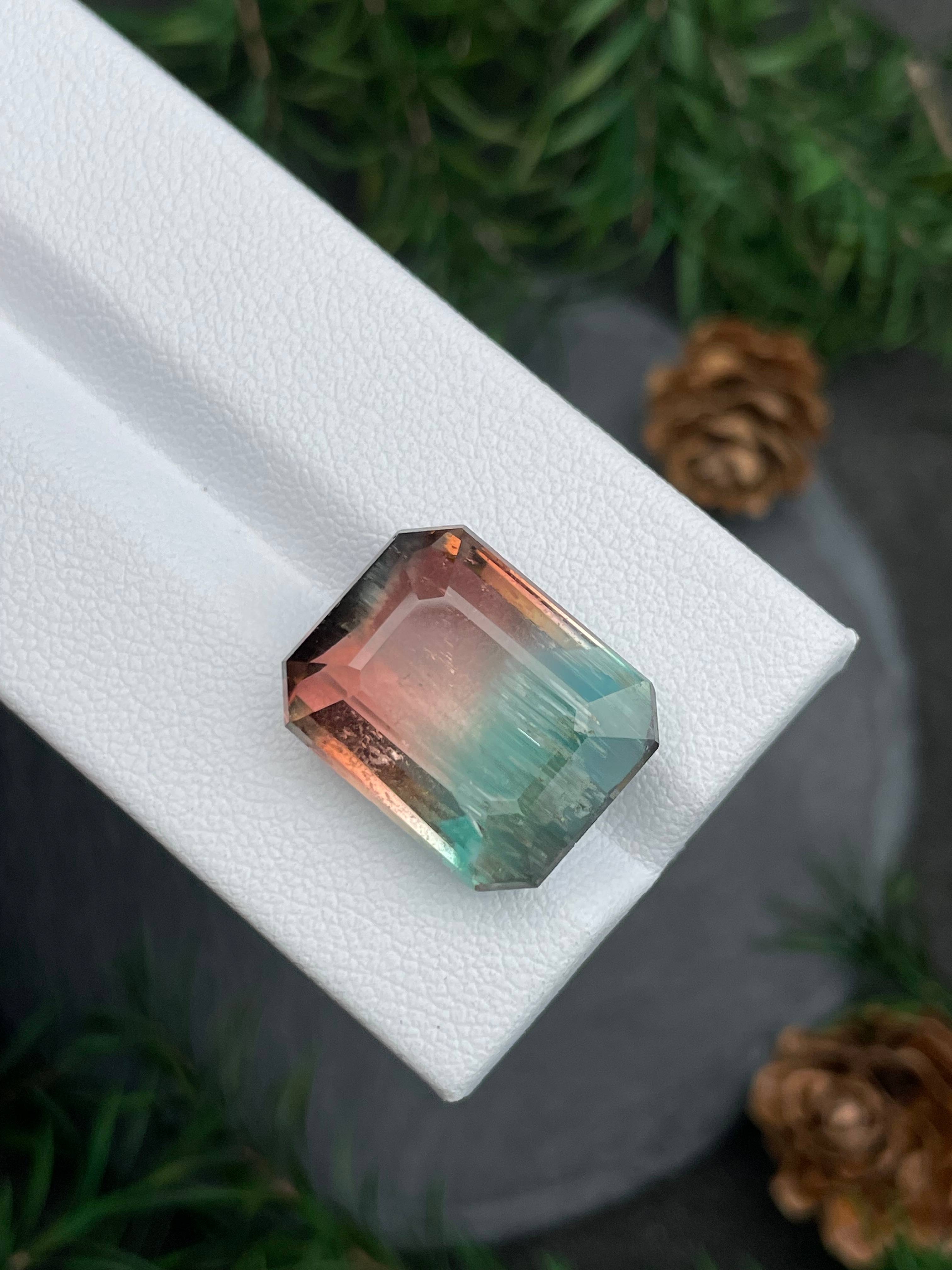 bi colour bi colour tourmaline, 18.82ct rectangular cut — view 8