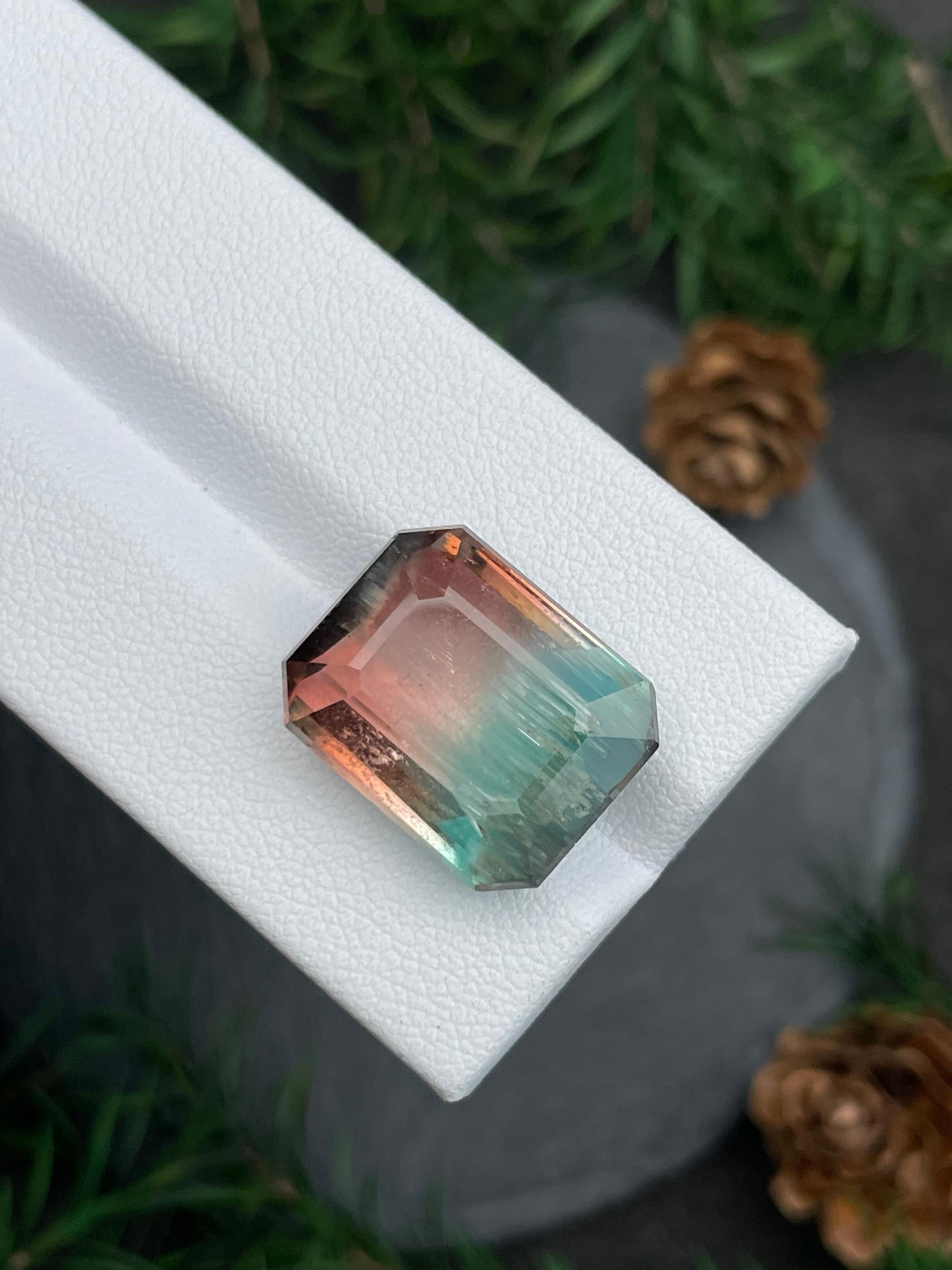 bi colour bi colour tourmaline, 18.82ct rectangular cut — view 8