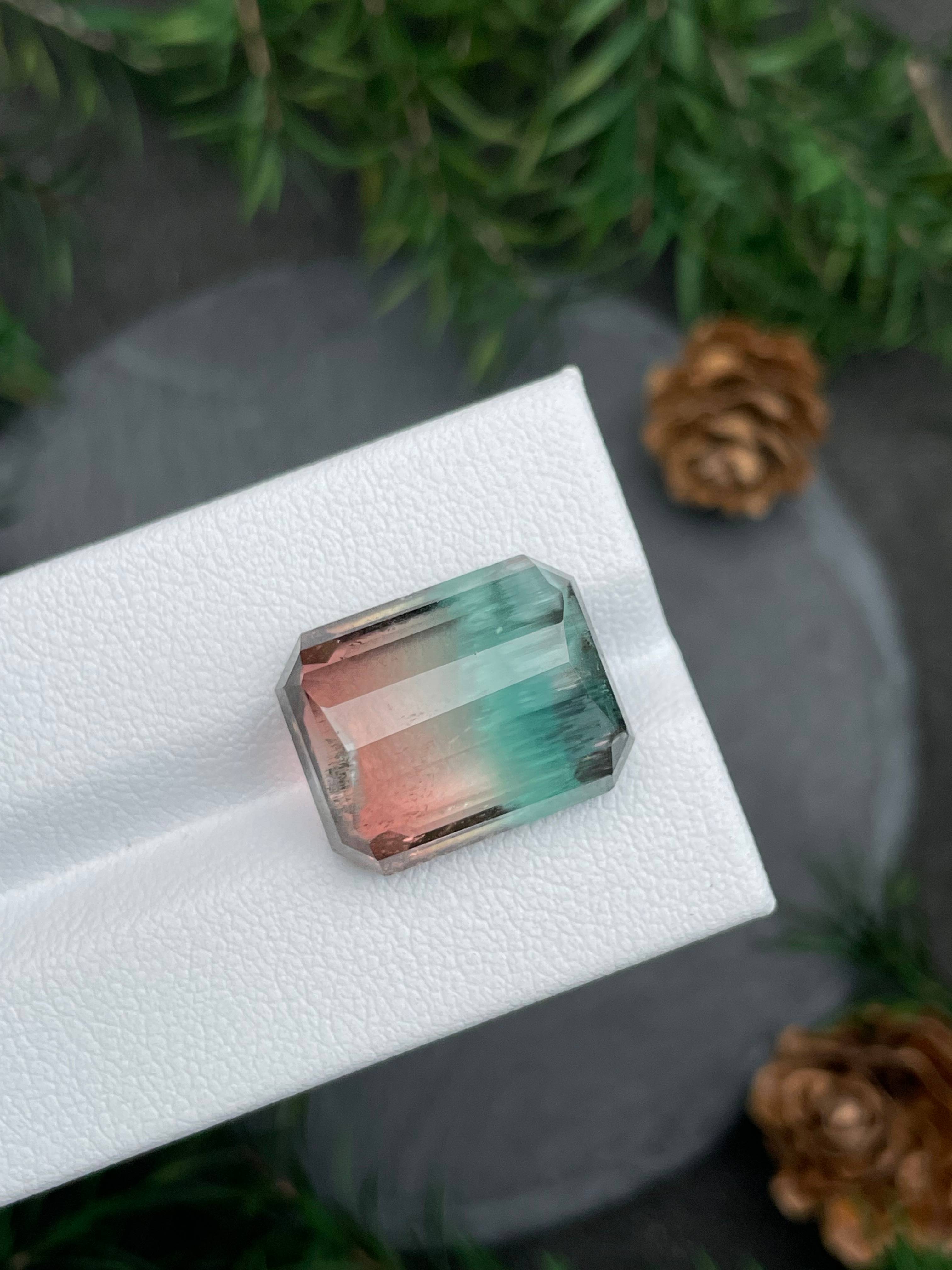 bi colour bi colour tourmaline, 18.82ct rectangular cut — view 9
