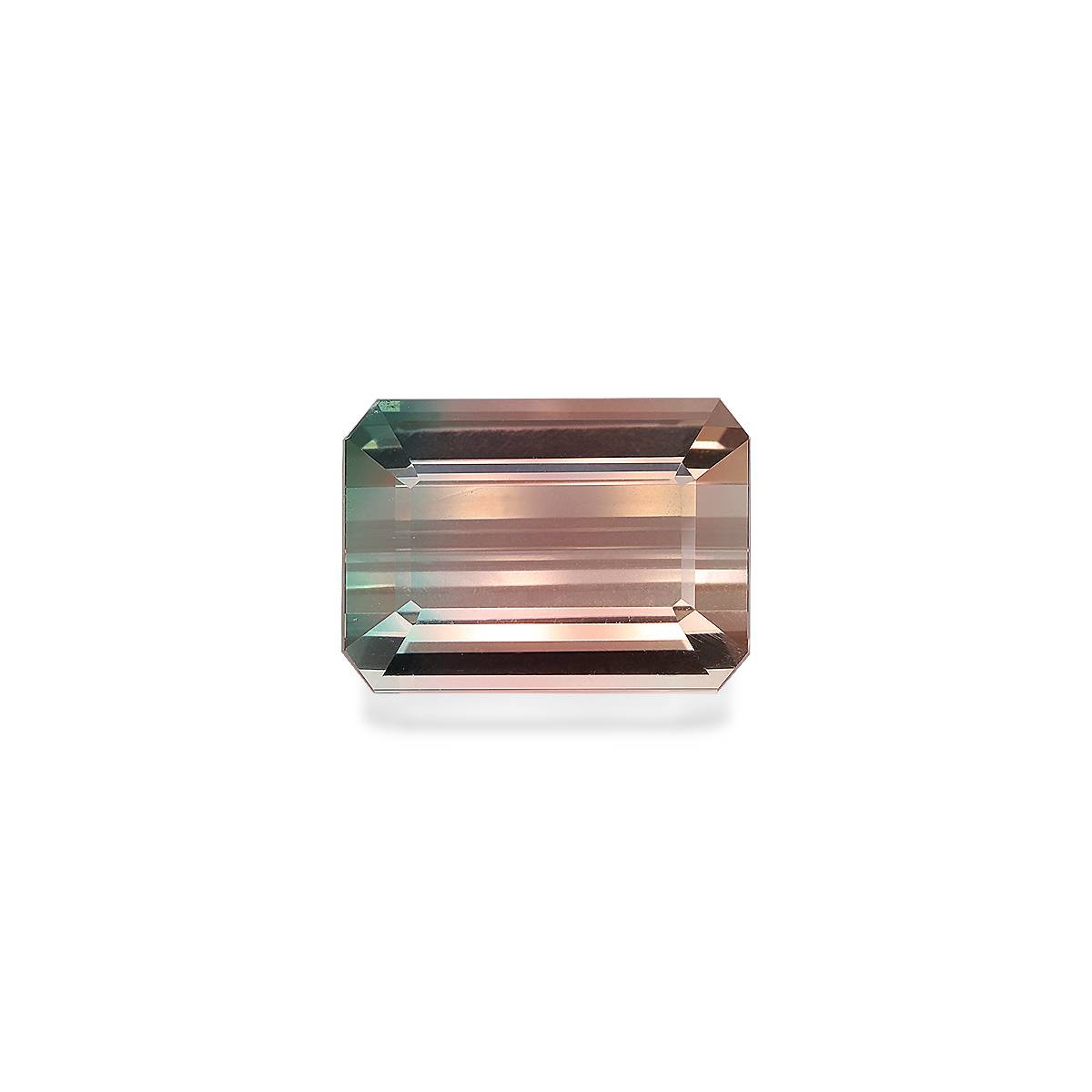 Watermelon Bi Colour Tourmaline 19.27ct
