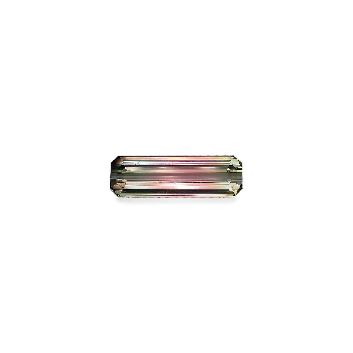 Bi Colour Tourmaline 15.00ct
