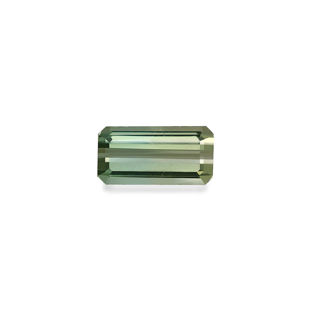 Bi Colour Tourmaline 15.48ct