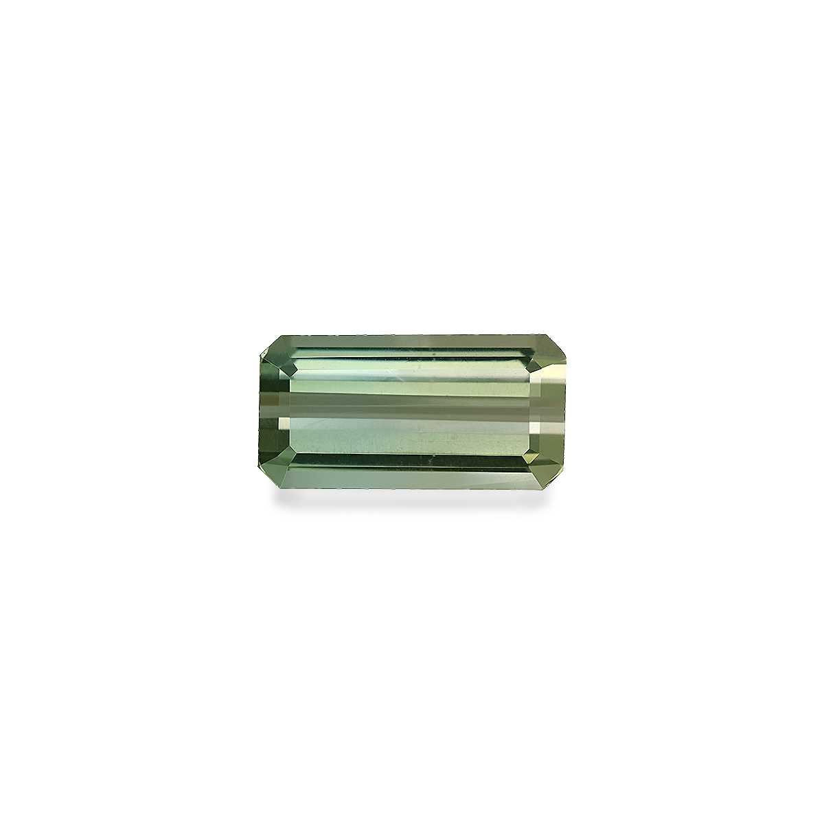 Bi Colour Tourmaline 15.48ct