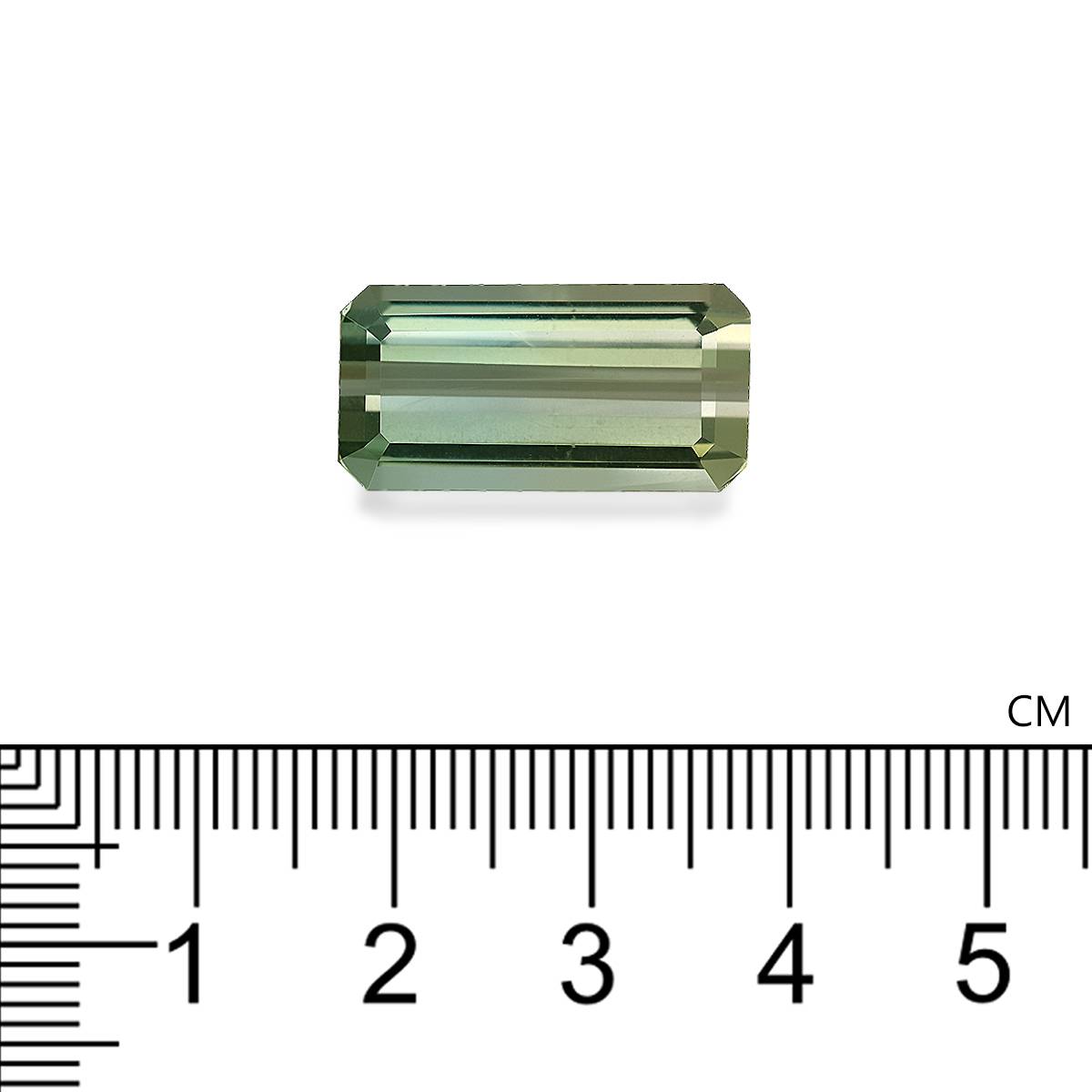 bi colour bi colour tourmaline, 15.35ct rectangular cut — view 4