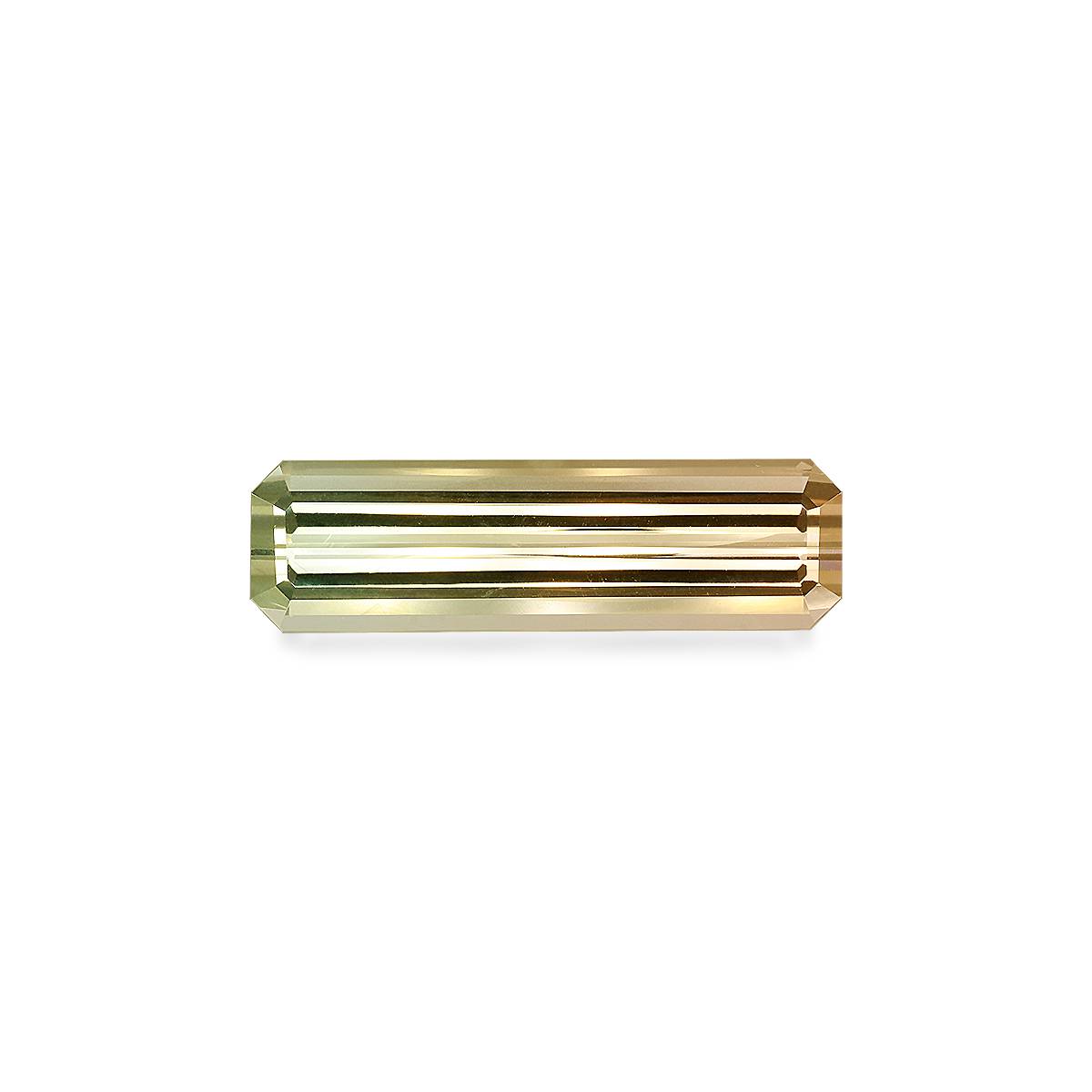 Bi Colour Tourmaline 25.70ct