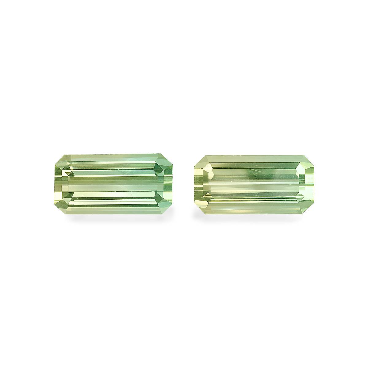 Bi Colour Tourmaline 25.52ct Pair