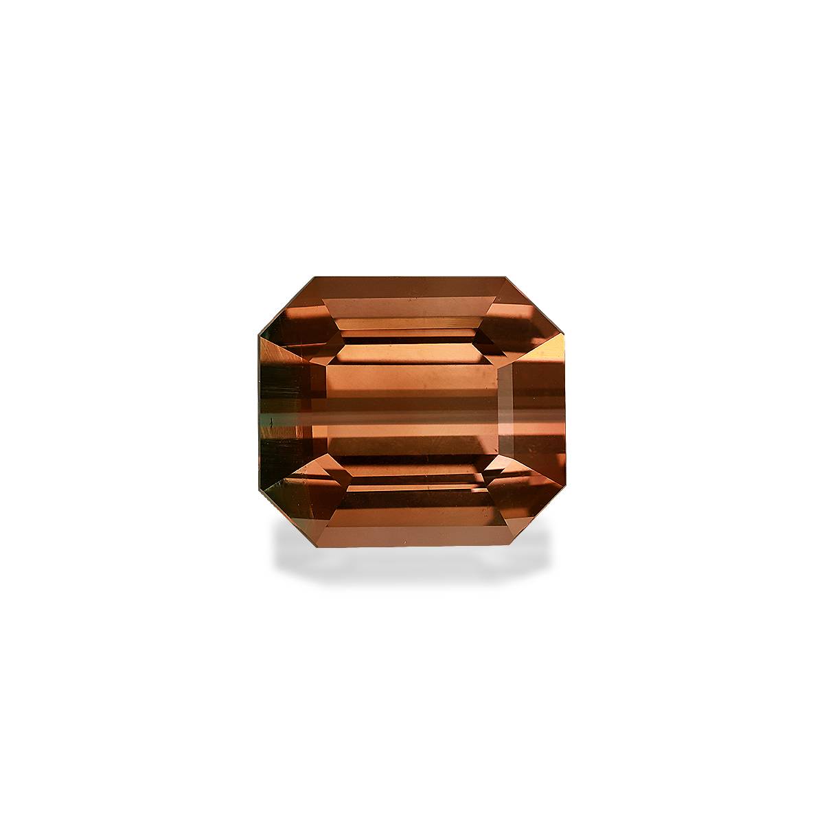 Bi Colour Tourmaline 17.05ct - 15x13mm