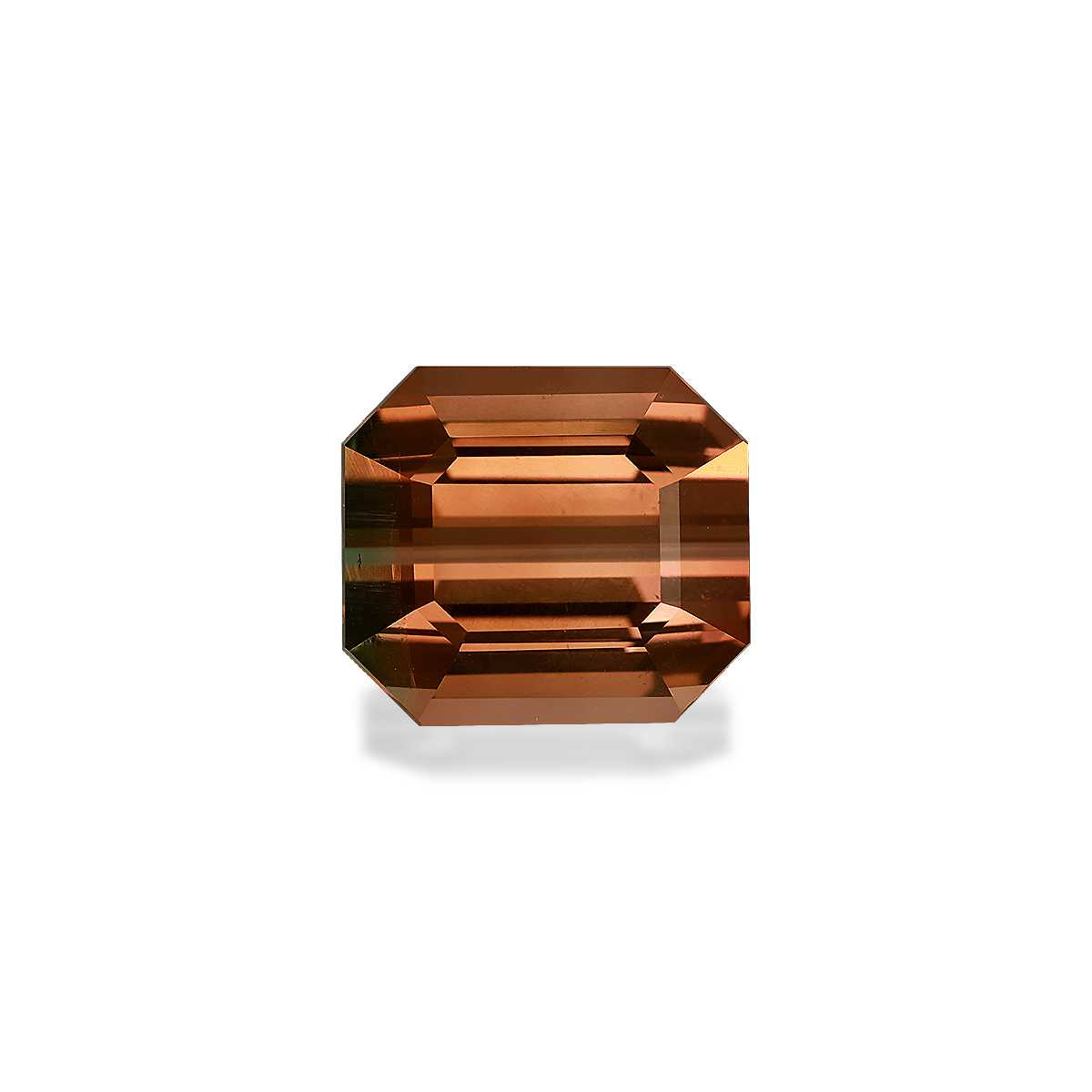 Bi Colour Tourmaline 17.05ct - 15x13mm