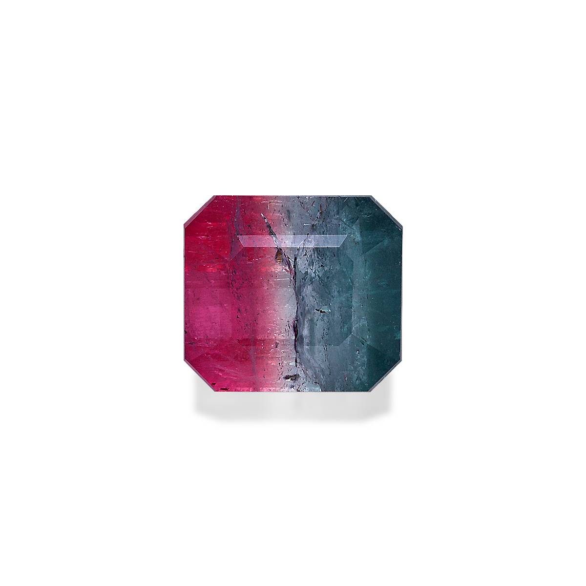Watermelon Bi Colour Tourmaline 10.57ct