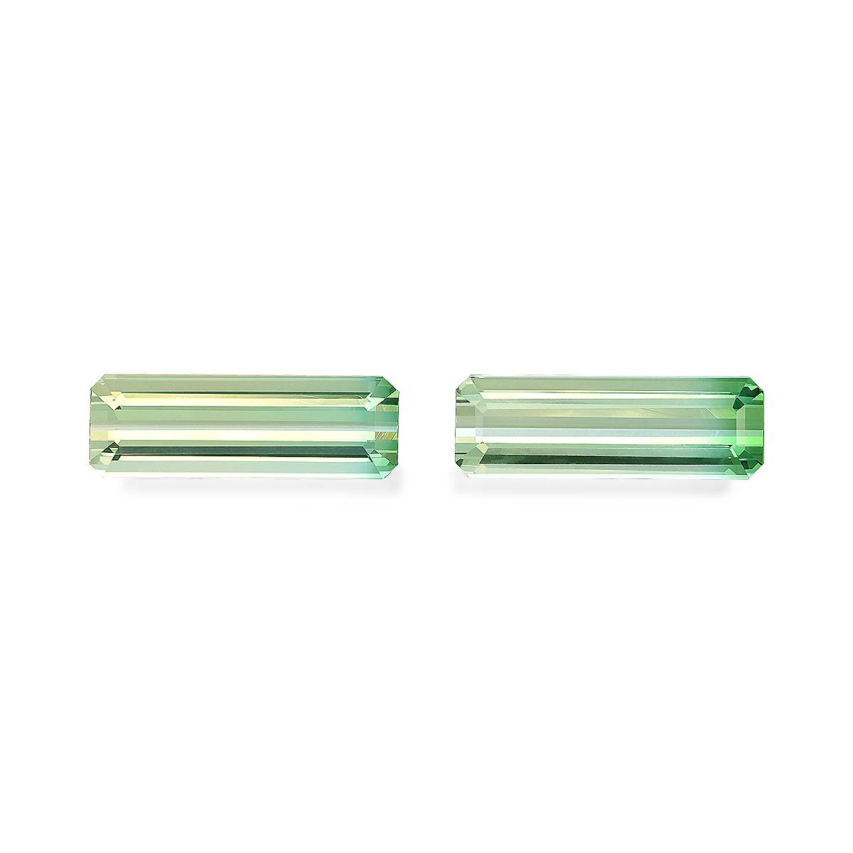 Bi Colour Tourmaline 23.50ct Pair