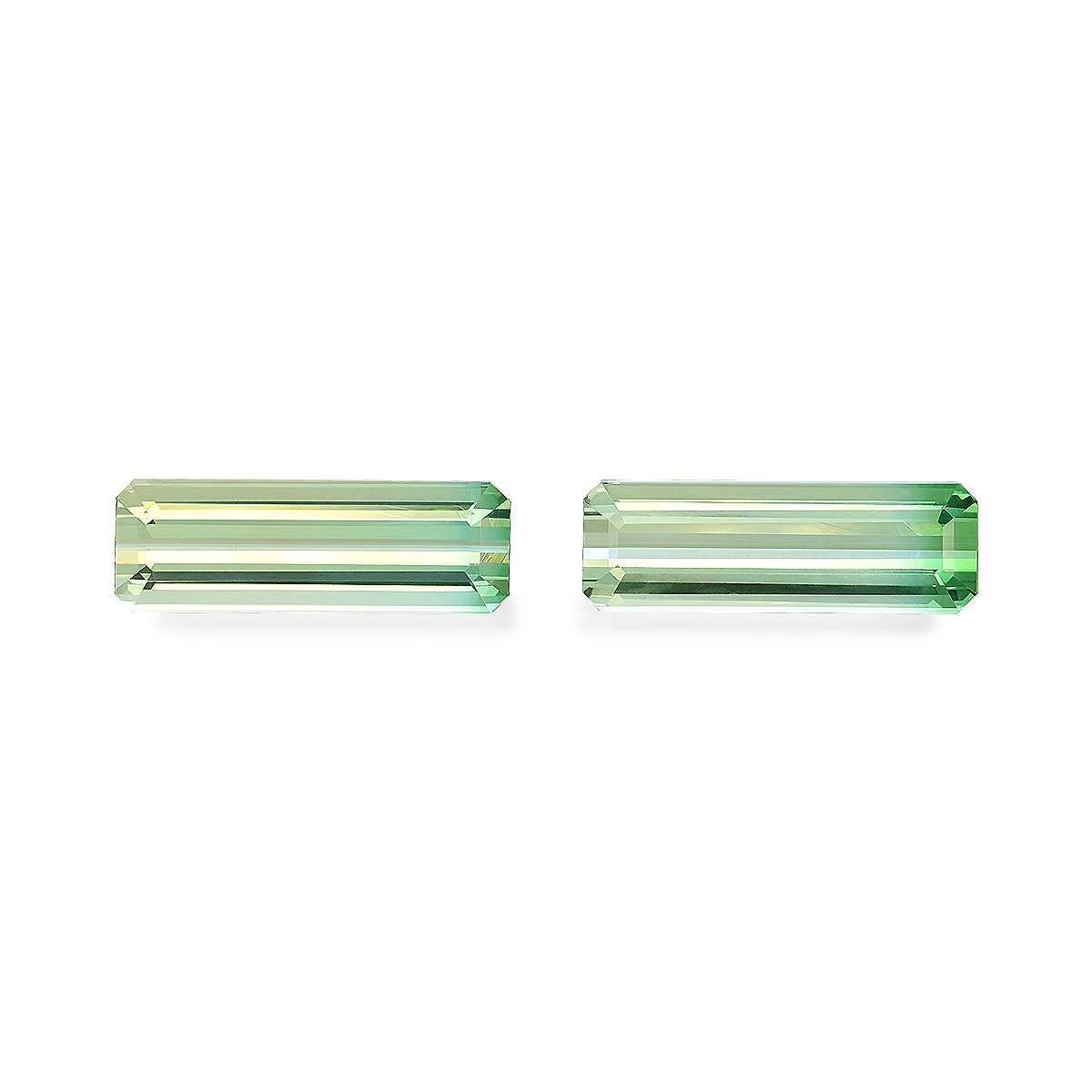 Bi Colour Tourmaline 23.50ct Pair