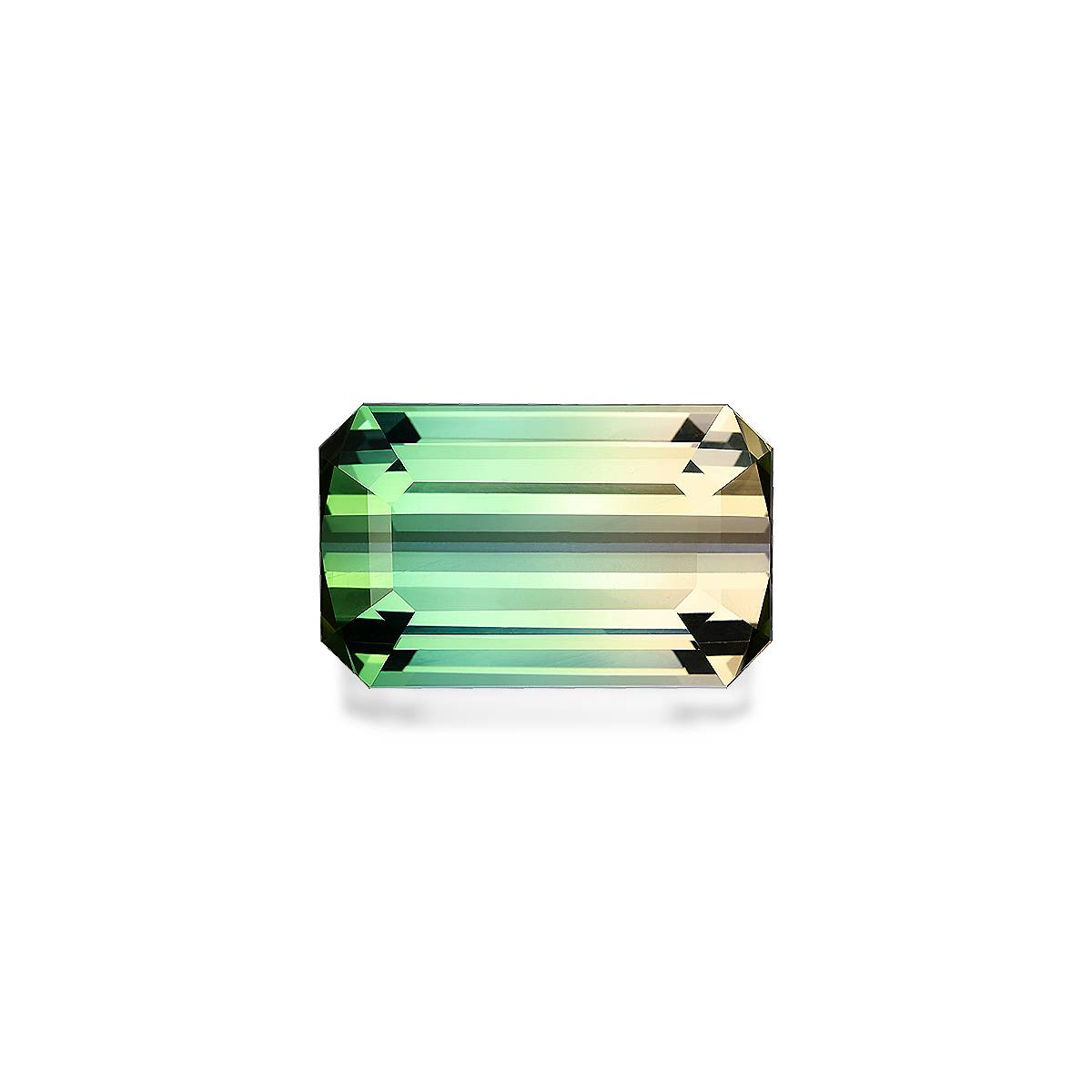 Bi Colour Tourmaline 19.87ct