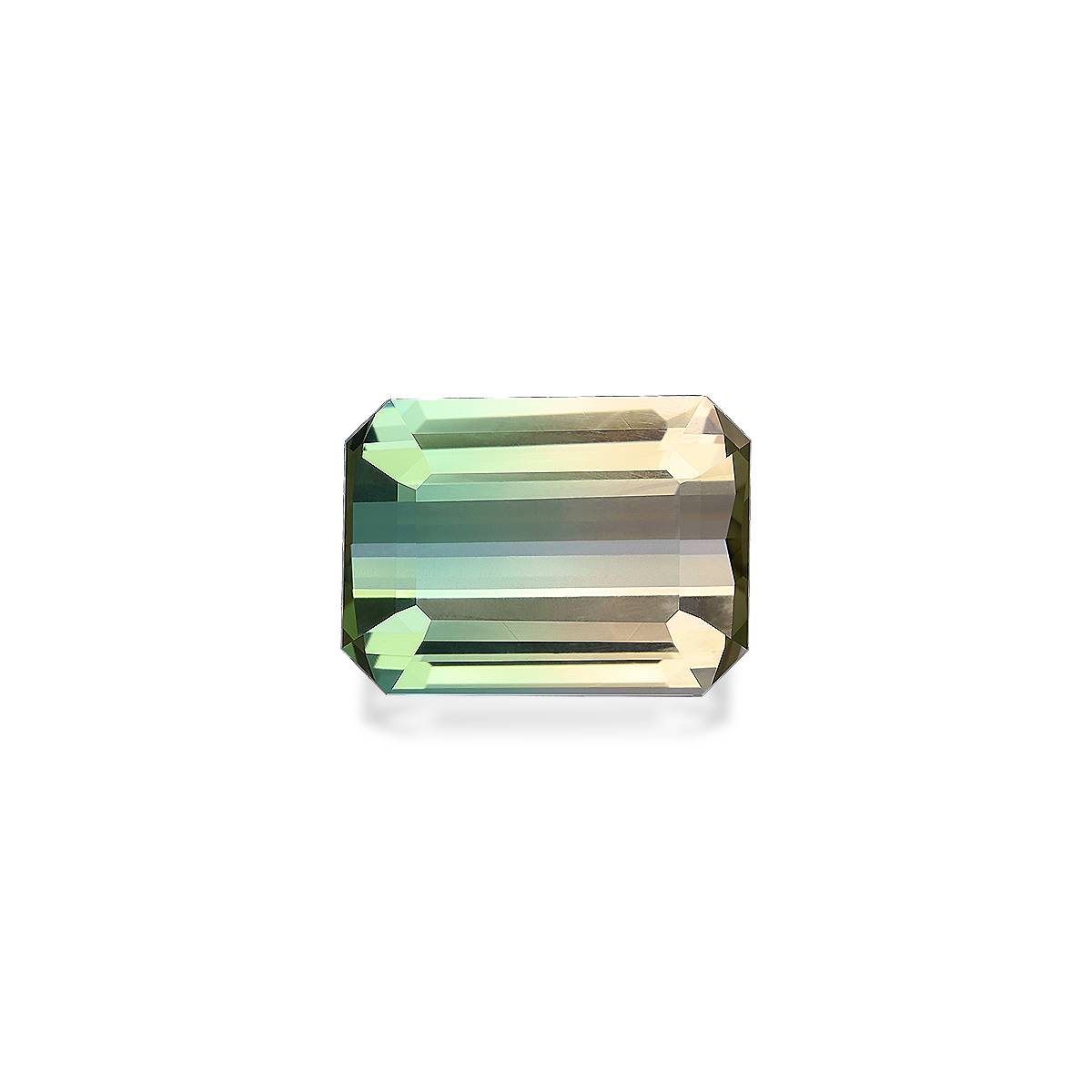 Bi Colour Tourmaline 14.72ct