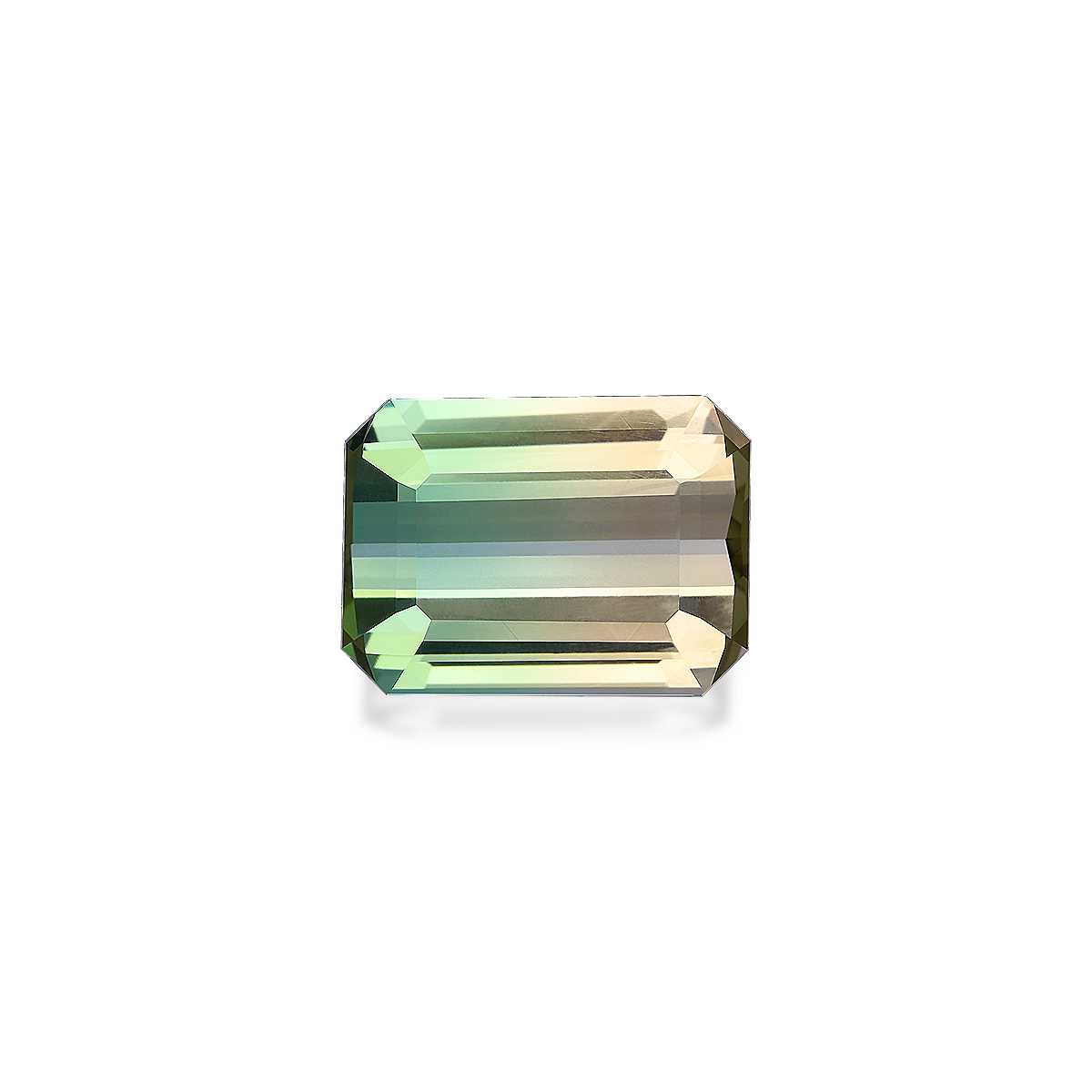 Bi Colour Tourmaline 14.72ct