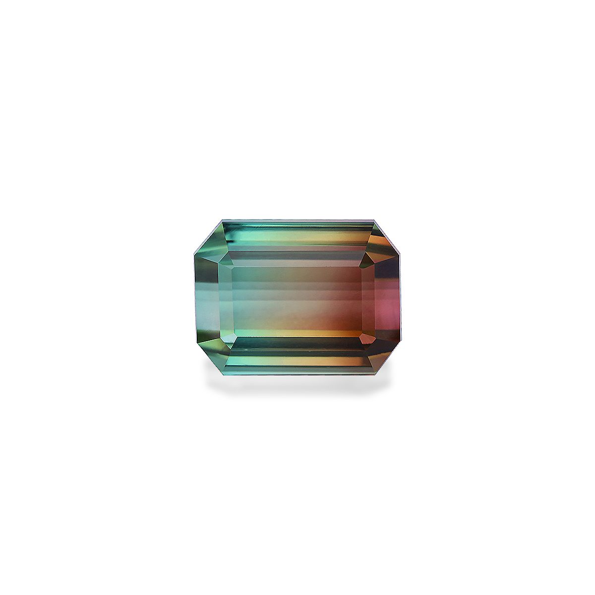 Bi Colour Tourmaline 10.99ct