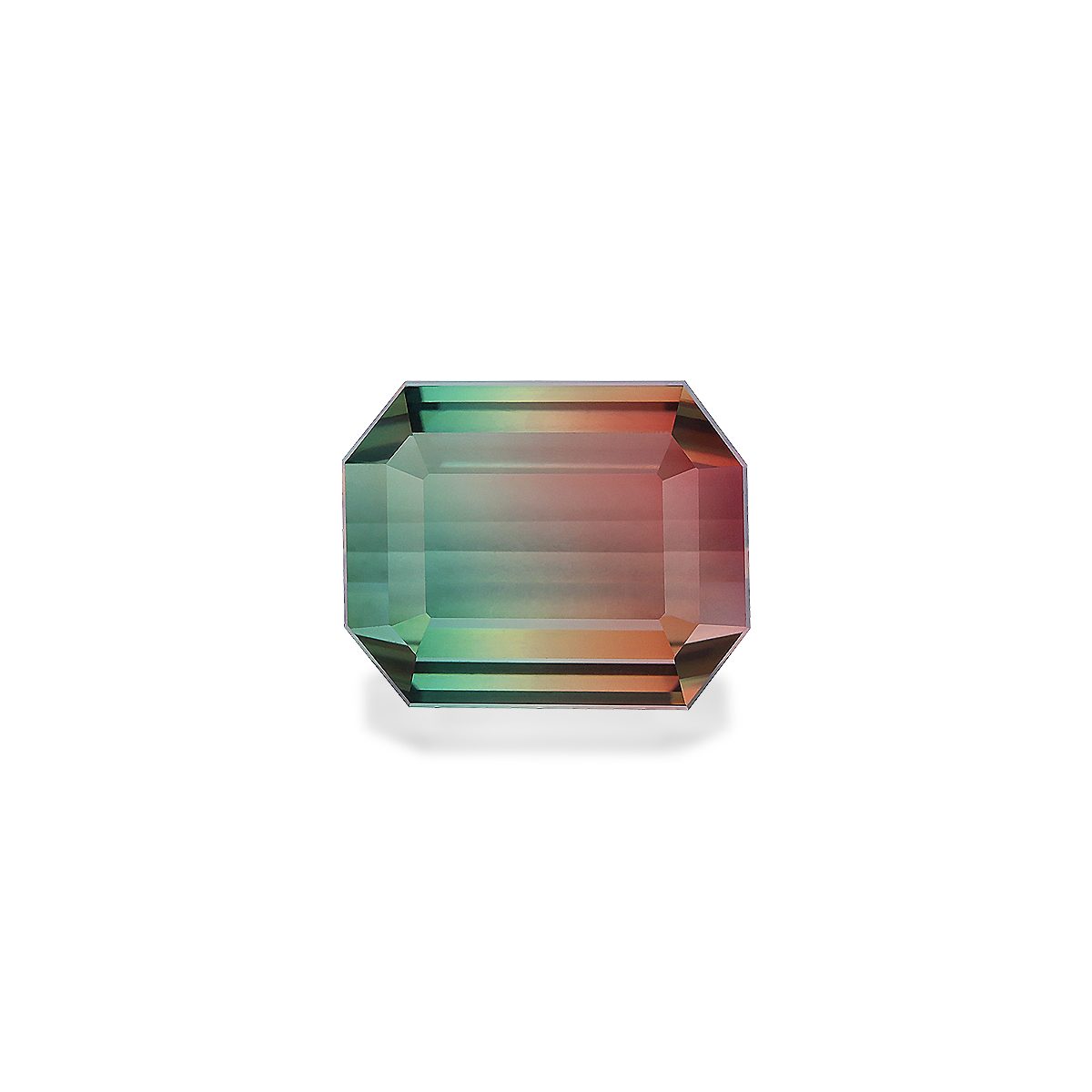 Bi Colour Tourmaline 17.48ct