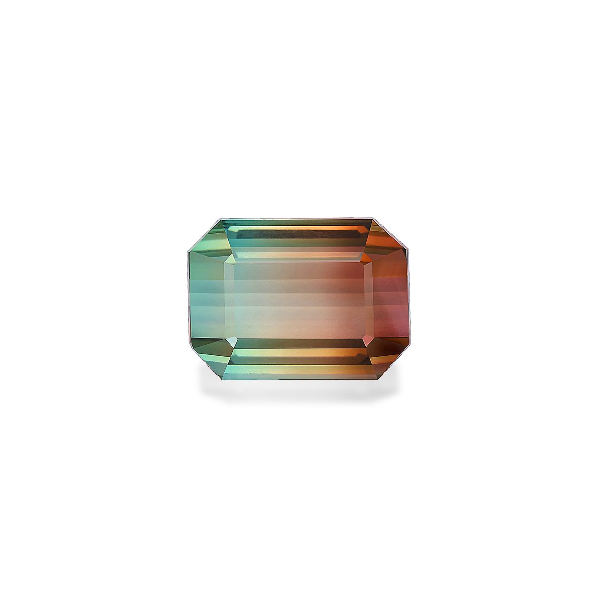 Bi Colour Tourmaline 16.22ct