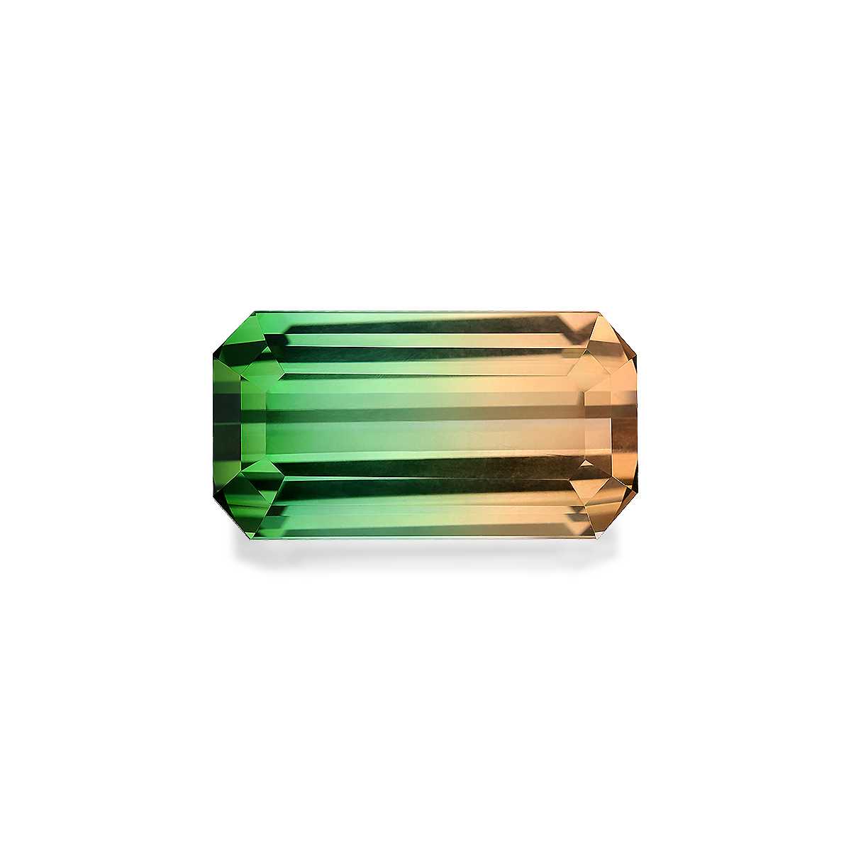 Bi Colour Tourmaline 39.48ct