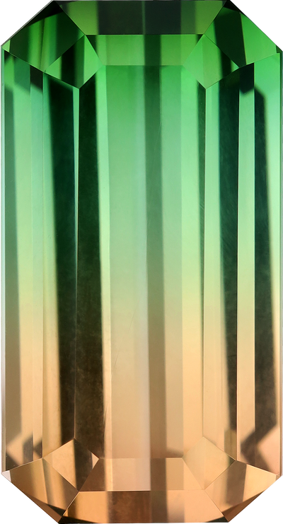 Rectangular cut bi colour tourmaline, 27.3 by 14.78 mm, shown at actual size