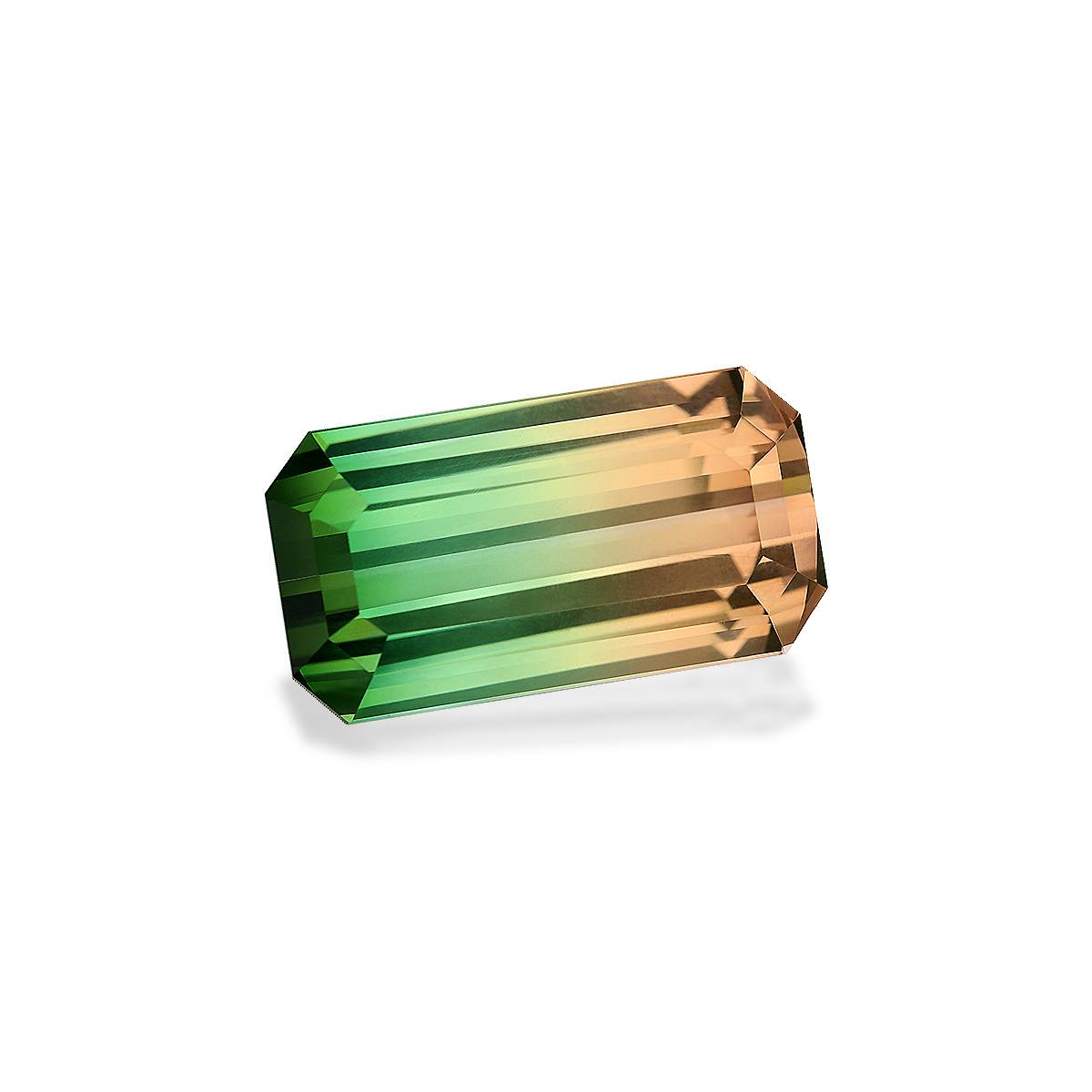 bi colour bi colour tourmaline, 39.48ct rectangular cut — view 3