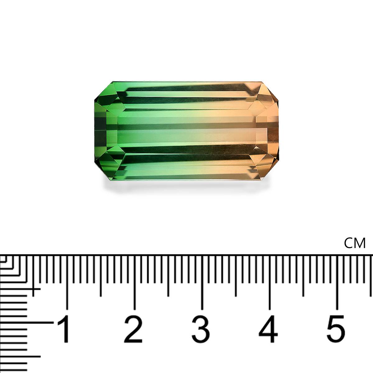 bi colour bi colour tourmaline, 39.48ct rectangular cut — view 4