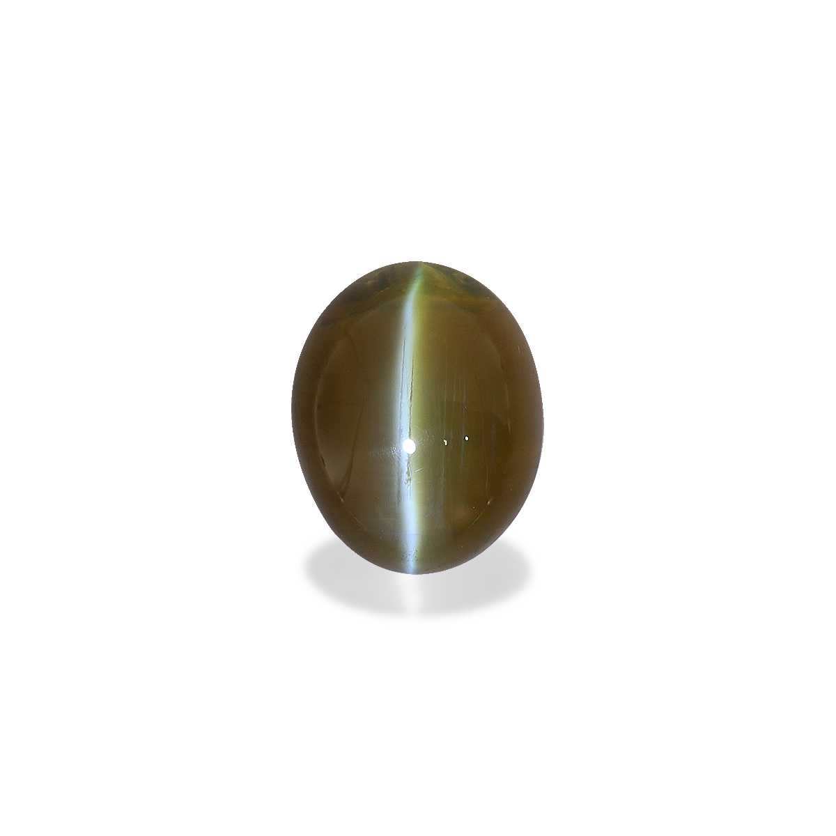 Cats Eye Honey Yellow Chrysoberyl 3.44ct - 9x7mm