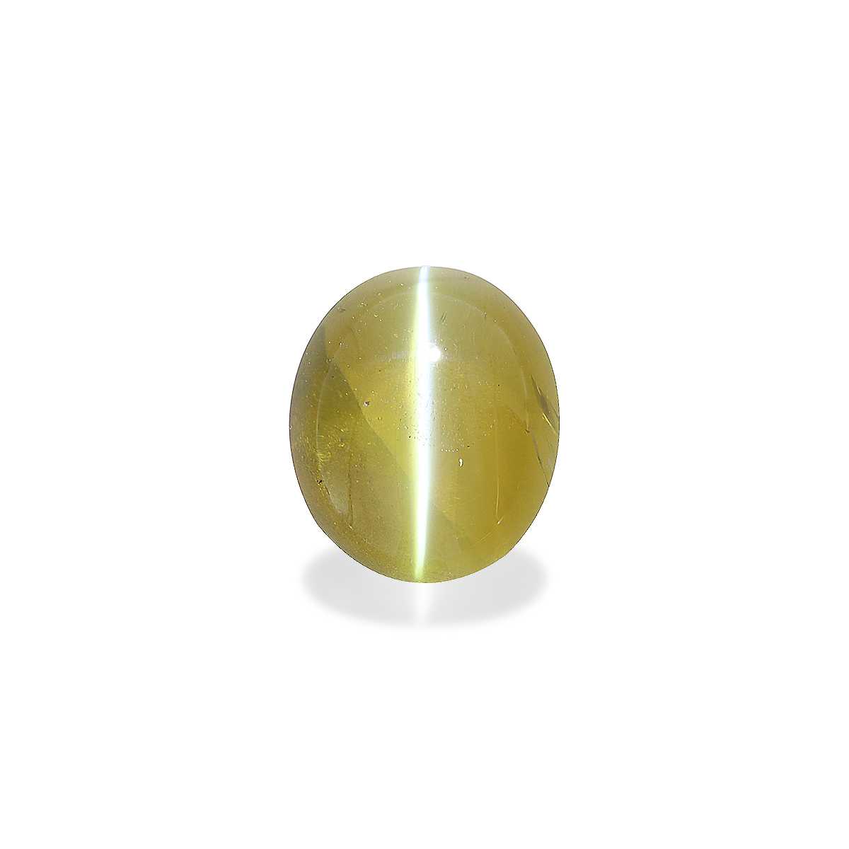 Cats Eye Honey Yellow Chrysoberyl 3.26ct - 9x7mm