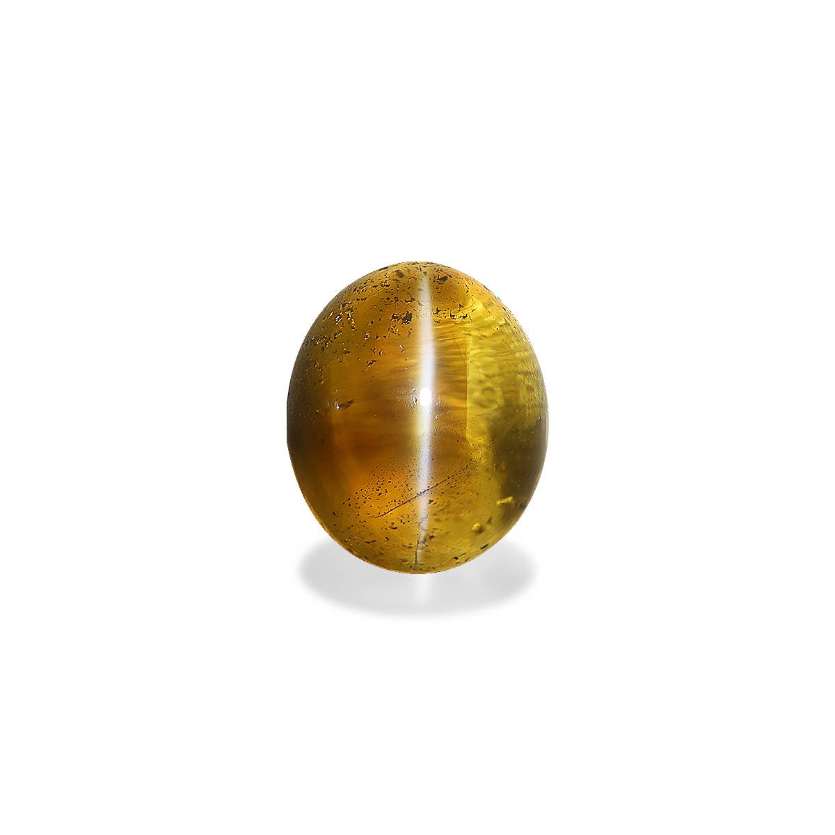 Cats Eye Honey Yellow Chrysoberyl 12.37ct - 12x10mm