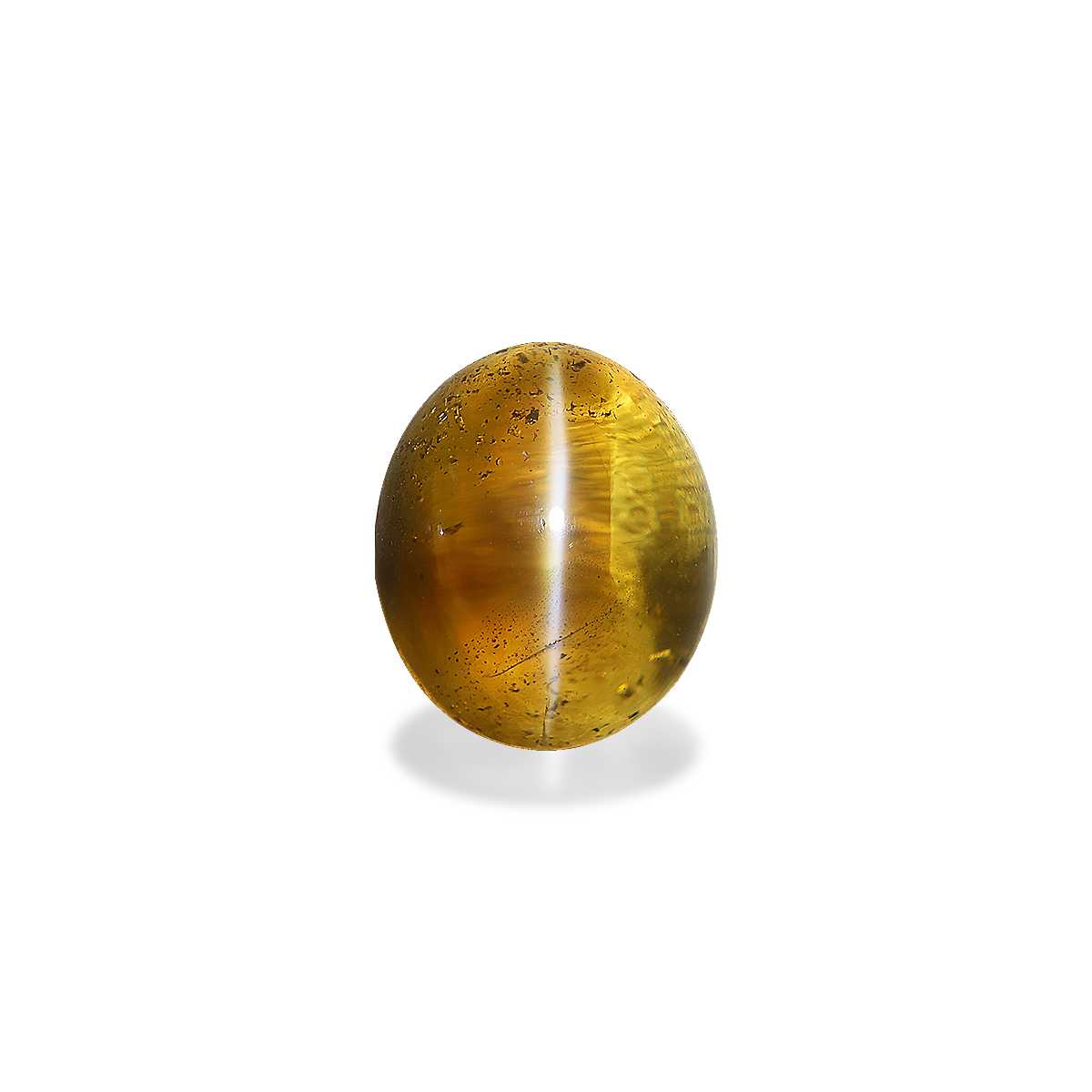 Cats Eye Honey Yellow Chrysoberyl 12.37ct - 12x10mm