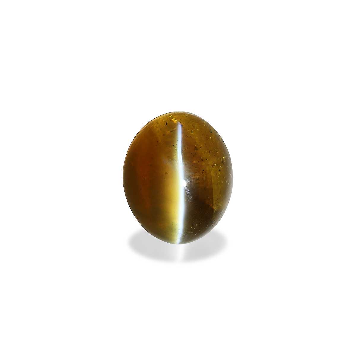 Cats Eye Honey Yellow Chrysoberyl 10.97ct