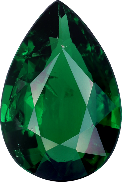 Pear cut chrome tourmaline, 9.84 by 6.64 mm, shown at actual size