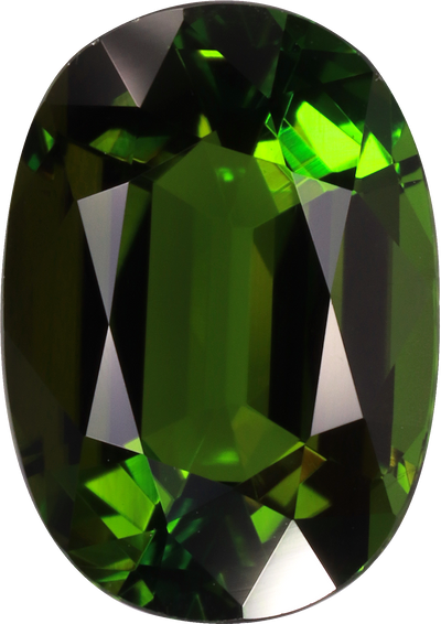 Oval cut chrome tourmaline, 11.16 by 7.86 mm, shown at actual size