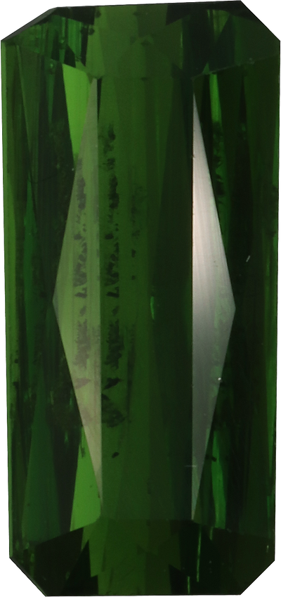 Rectangular cut chrome tourmaline, 11.7 by 5.1 mm, shown at actual size
