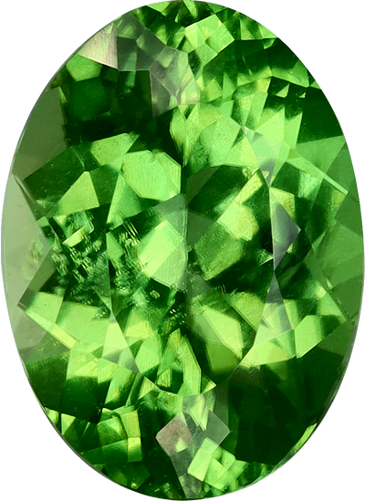 Oval cut chrome tourmaline, 9.66 by 7.03 mm, shown at actual size