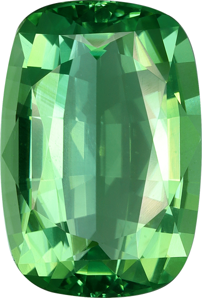 Cushion cut chrome tourmaline, 13.12 by 8.88 mm, shown at actual size