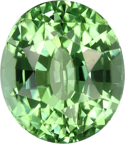 Oval cut chrome tourmaline, 9.14 by 7.9 mm, shown at actual size