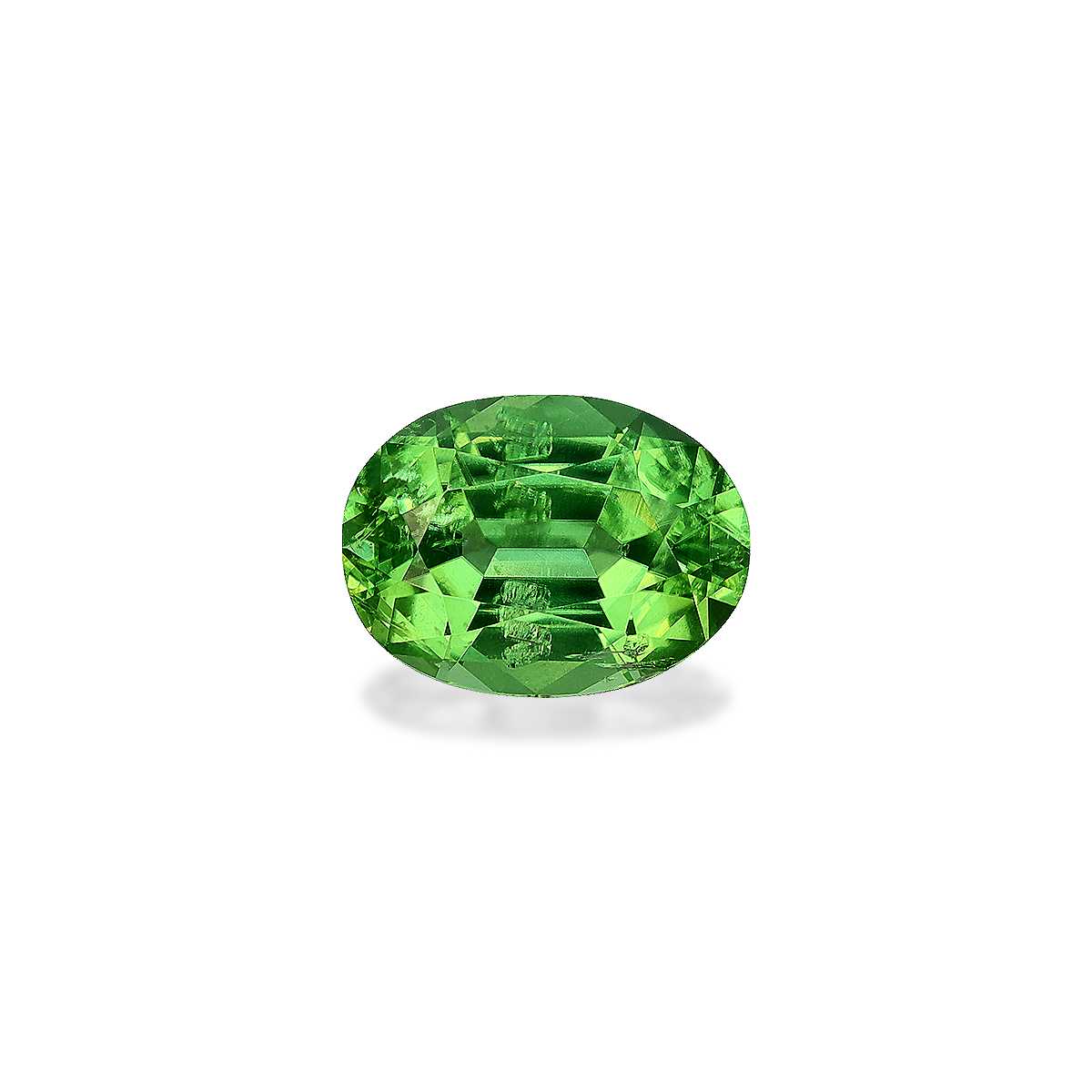 Green Chrome Tourmaline 1.73ct - 9x7mm