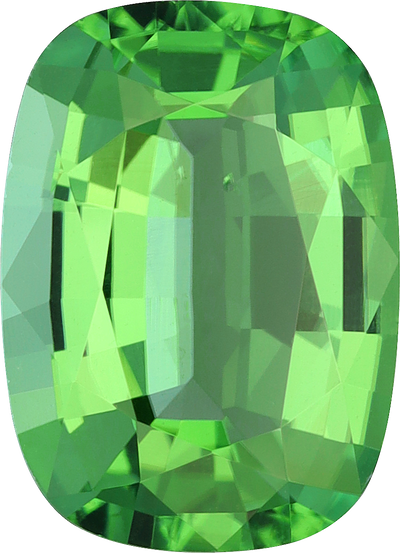 Cushion cut chrome tourmaline, 11.26 by 8.16 mm, shown at actual size