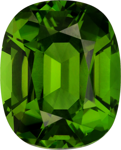 Cushion cut chrome tourmaline, 17.12 by 13.85 mm, shown at actual size