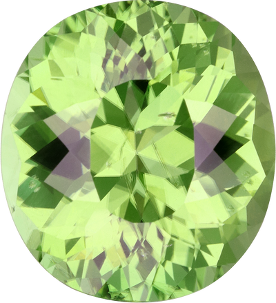 Oval cut chrome tourmaline, 18.21 by 16.51 mm, shown at actual size