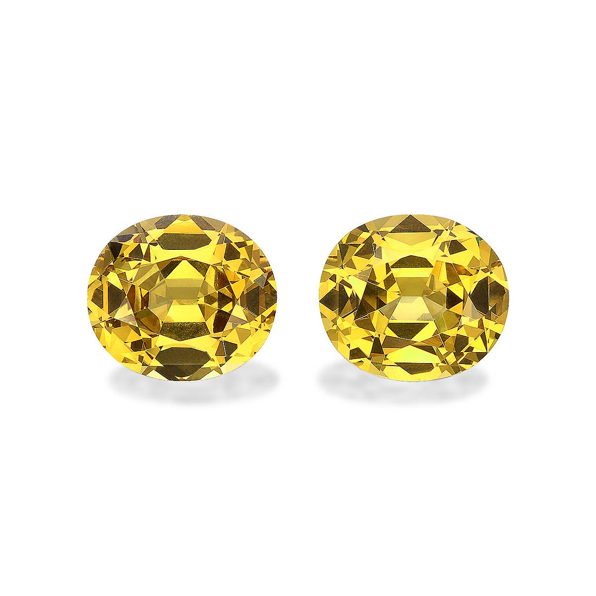 Corn Yellow Grossular Garnet 14.39ct - 13x11mm Pair