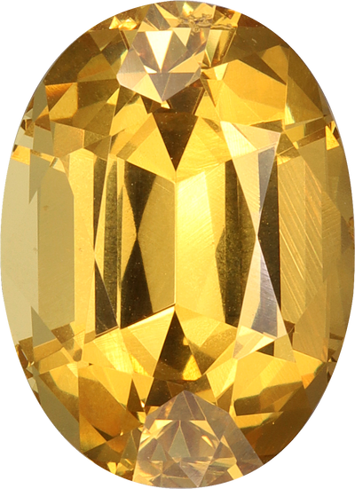 Oval cut grossular garnet, 11.87 by 8.7 mm, shown at actual size