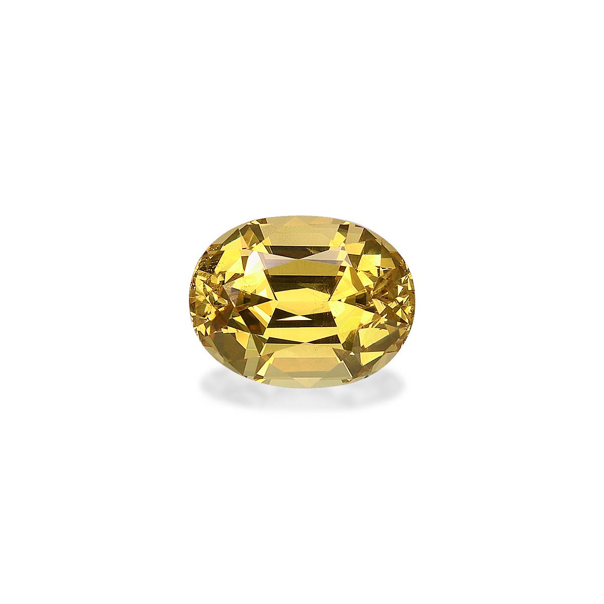 Golden Yellow Grossular Garnet 2.89ct - 9x7mm